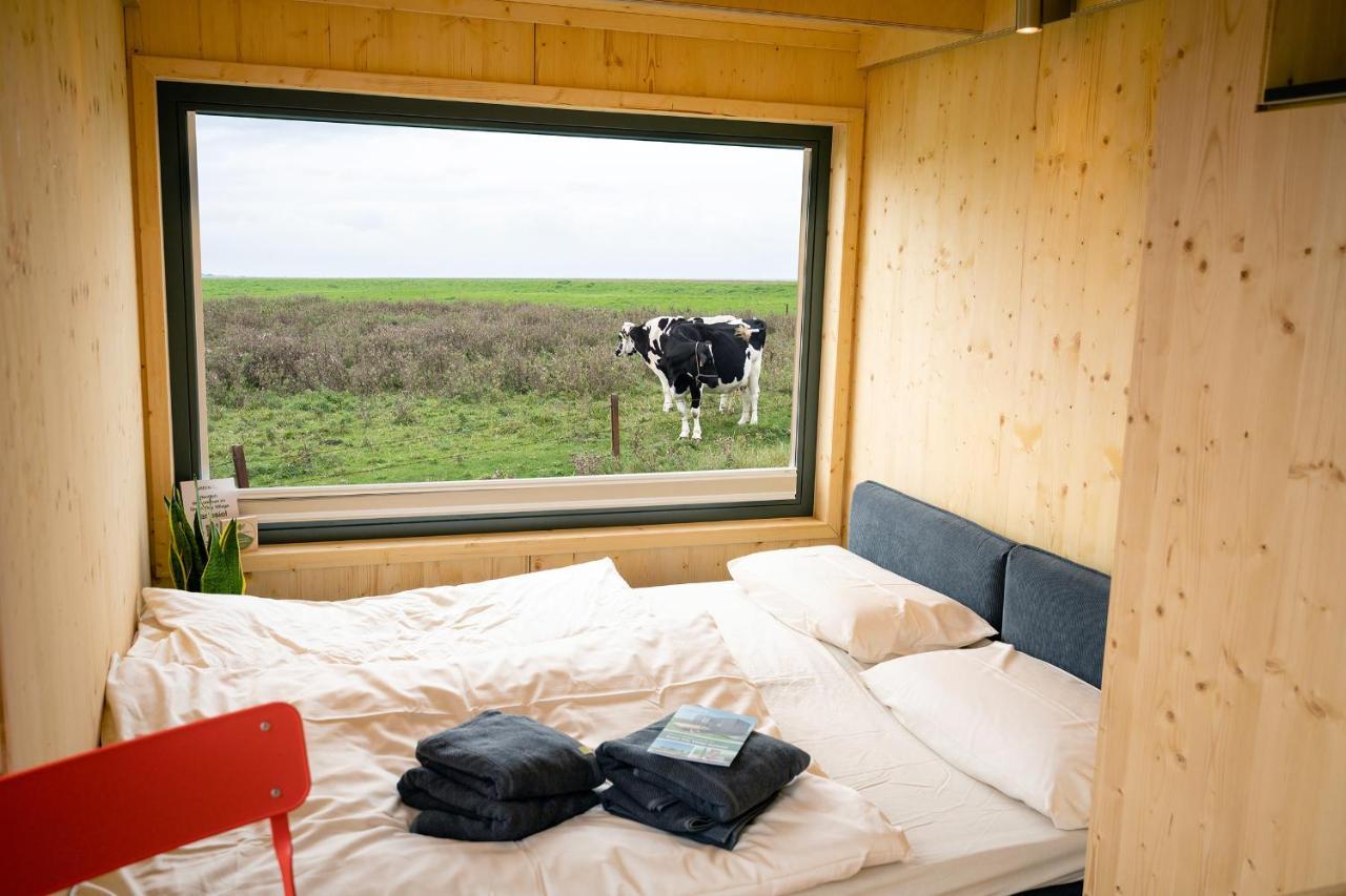 Tiny House Nature 9 Zur Kuhweide - Green Tiny Village Harlesiel Carolinensiel Exterior foto